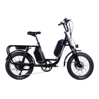 Електровелосипед Adamant 48V 1000W з акумулятром 17,5Ah та 12,5Ah